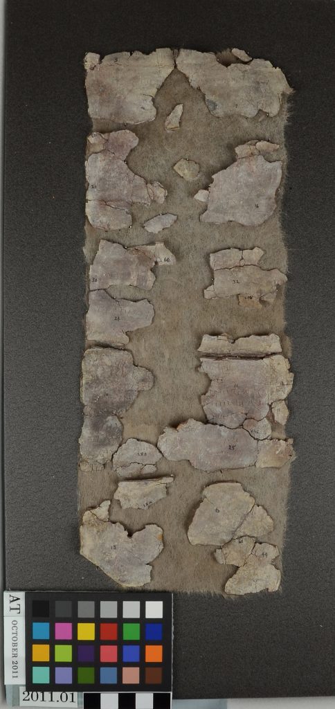 Photograph of a fragmentary ancient Roman lead tablet inscribed in Latin with a curse. The fragments of the tablet are attached to a rectangular piece of fabric.