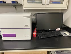 fluorescence plate reader