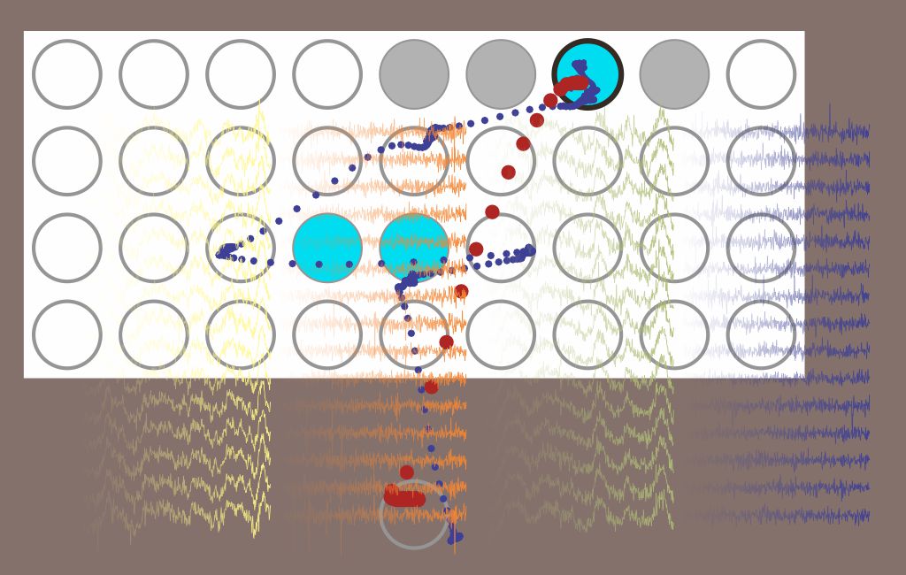 Banner showing electrophysiology data overlaid on behavioral data