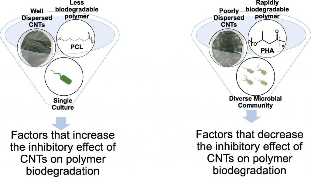Depiction of the influence of polymer type and carbon nanotube properties on the biodegradation of composites