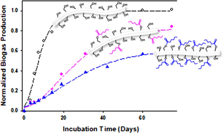 Graphical abstract depicting the biogas production over time for three different functionalizations of nanocellulose