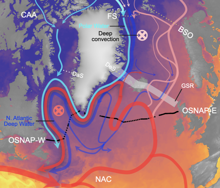 Arctic freshwater impact on the AMOC: status and prospects