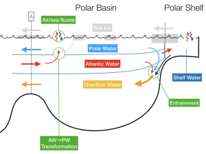 Talk on Conceptual Models of Polar Overturning Circulations