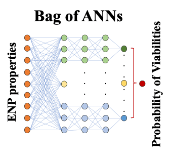 Figure indicating the structure of a bag of ANNs useful in predicting viabilities of organisms subject to exposure of nanoparticles.