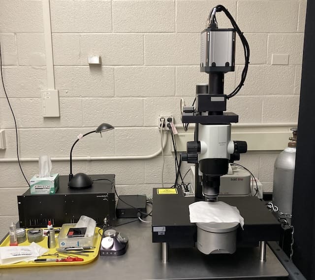 Image of the Light Sheet Microscope