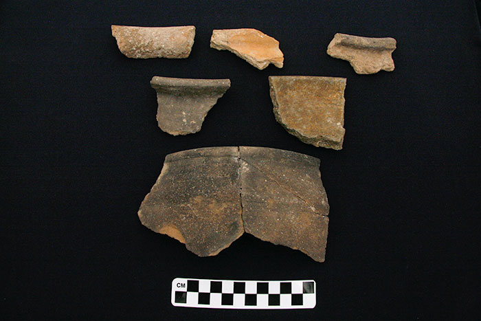 Mittani period Cooking Ware shards.