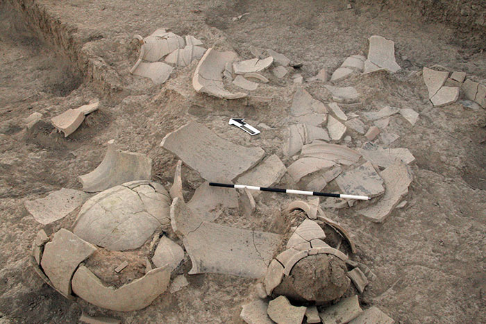 Middle Bronze pottery in situ.