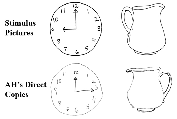 Representation of Visual Location and Orientation