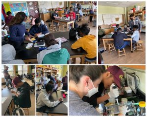 Collage of pictures featuring high school students participating in a JHU graduate student led DNA fingerprinting activity