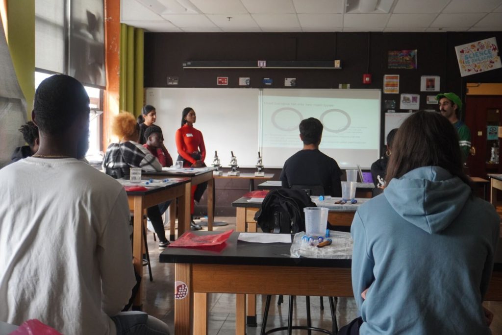Students in a classroom listen to a presentation about bacteria classification