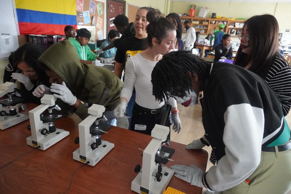 Students observe their stained bacterial slides under the microscope