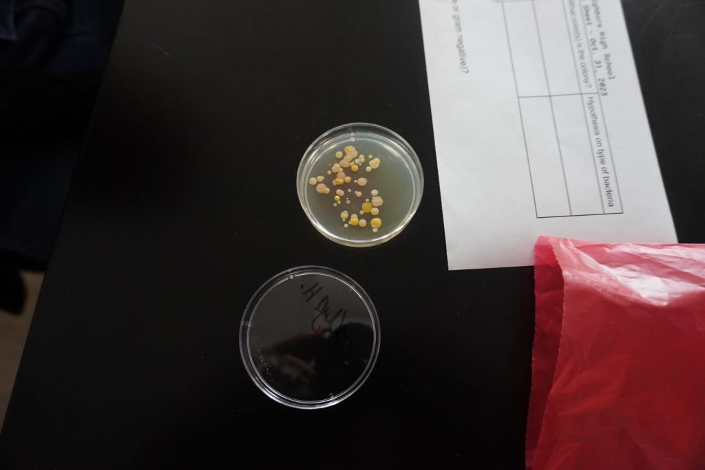 A petri dish with bacterial colonies next to a data collection sheet