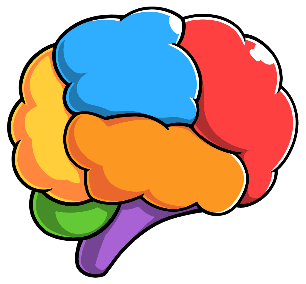 A multicolored brain.