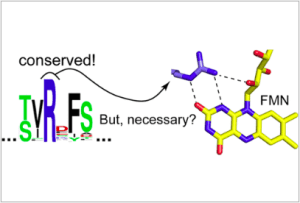 New Paper Published in Biochemistry