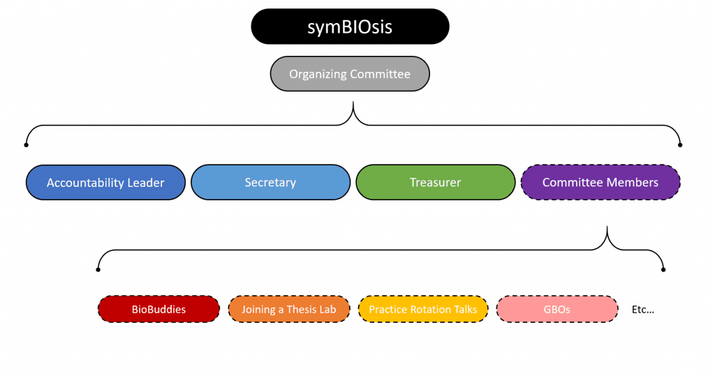 Organizing Committee structure
