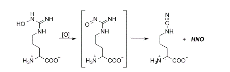 HNO detection 1