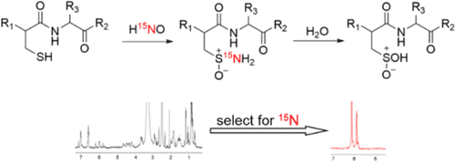 HNO peptides and proteins