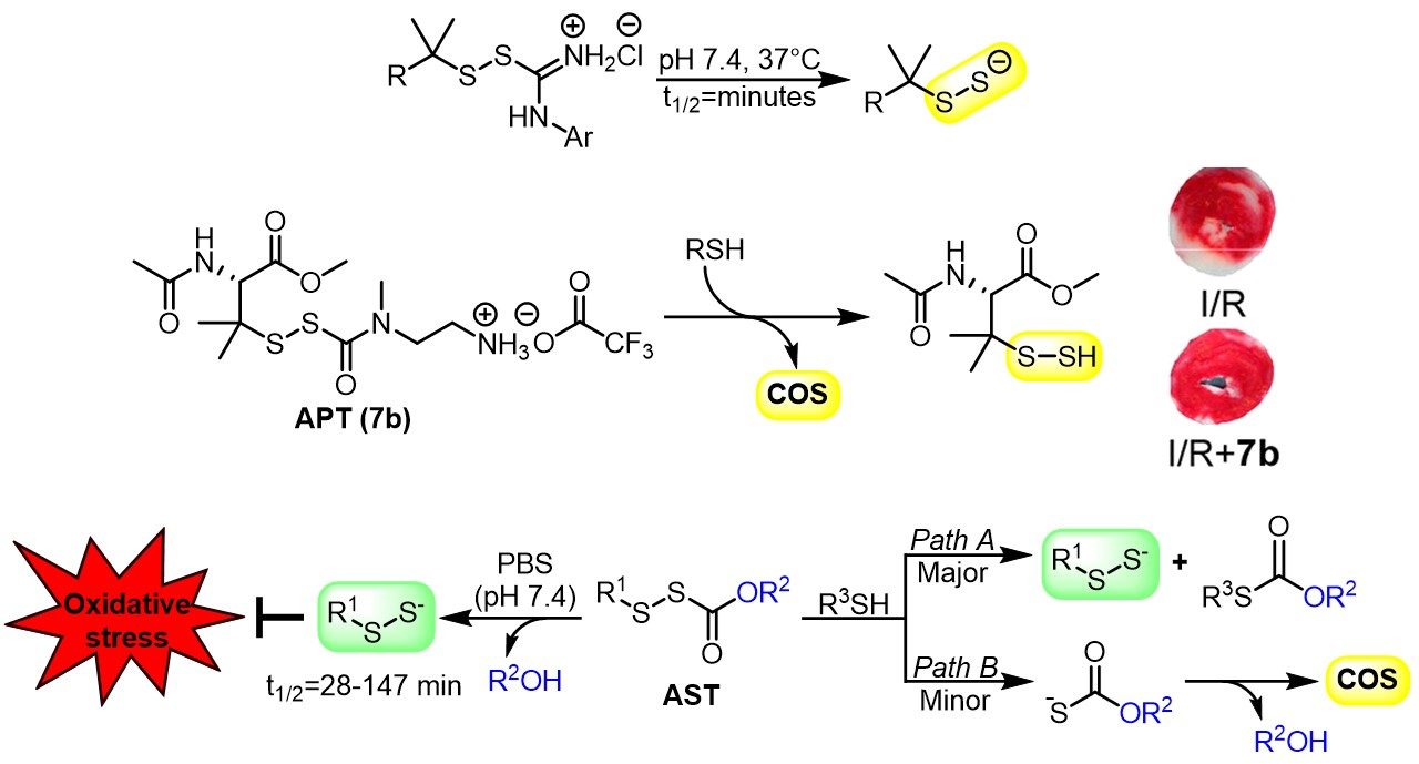 Better persulfide precursor figure