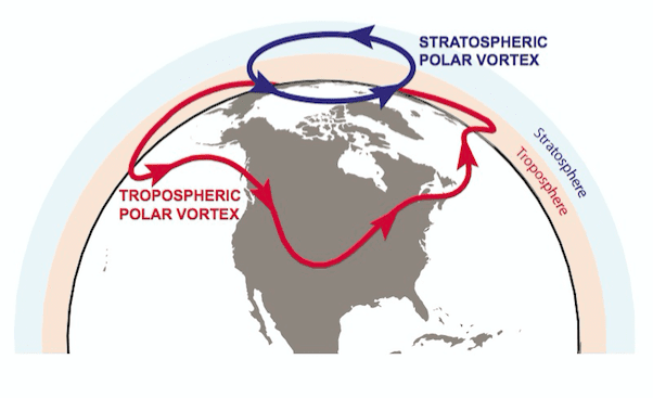 Understanding the Arctic polar vortex